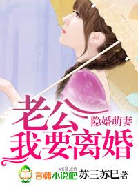 隐婚萌妻,老公我要离婚!