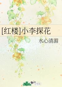 红楼小李探花